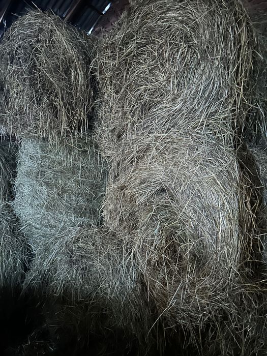 Sprzedam siano baloty 120/120