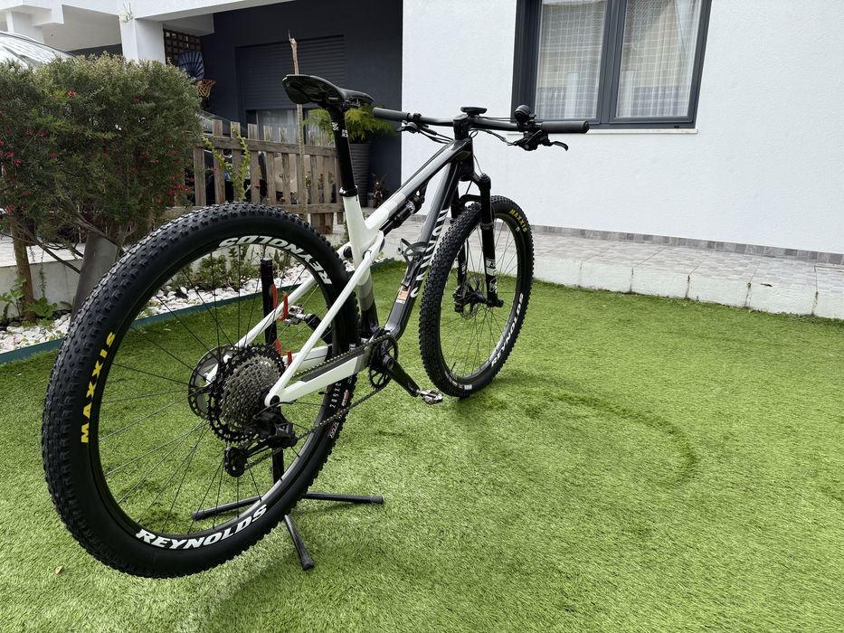 Canyon Lux Word Cup Carbono