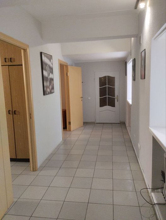 Домашня перетримка собак так котів | Київ Бровари