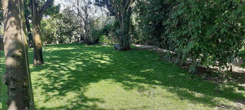 Alugo espaço para eventos - Lixa