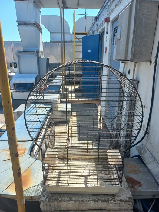 Gaiola para papagaios ou caturras