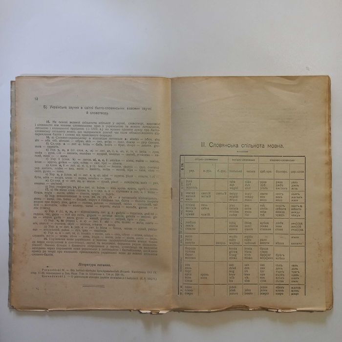 Історія української мови 1920 рік
