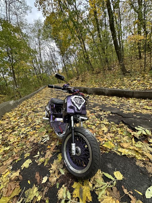 Honda zoomer ruckus custom