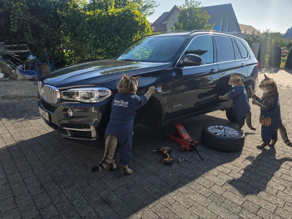 BMW X5