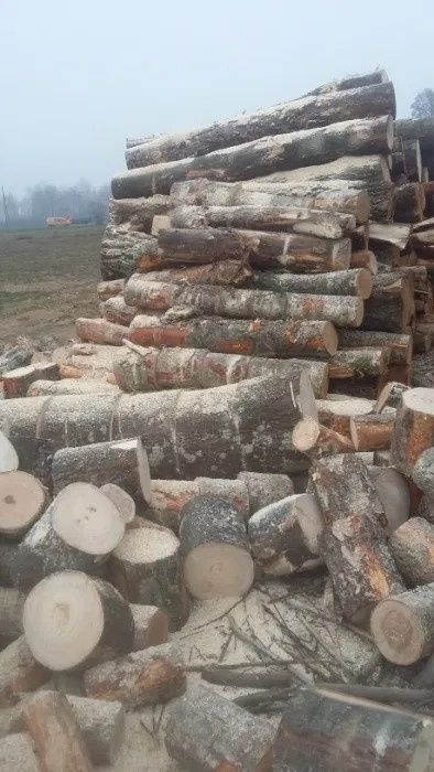 Drewno opałowe i kominkowe