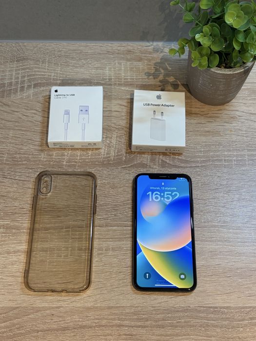 Iphone X bateria 100%