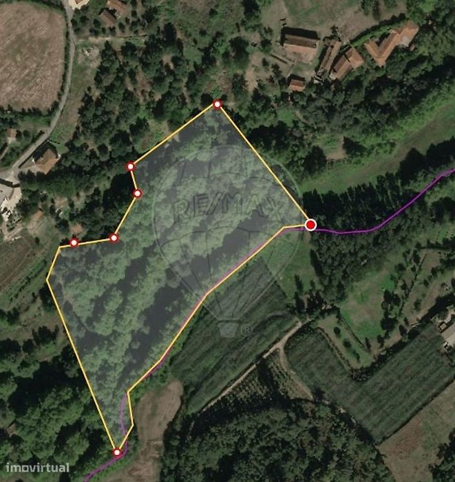 Terreno  para venda — Alvite E Passos, Braga