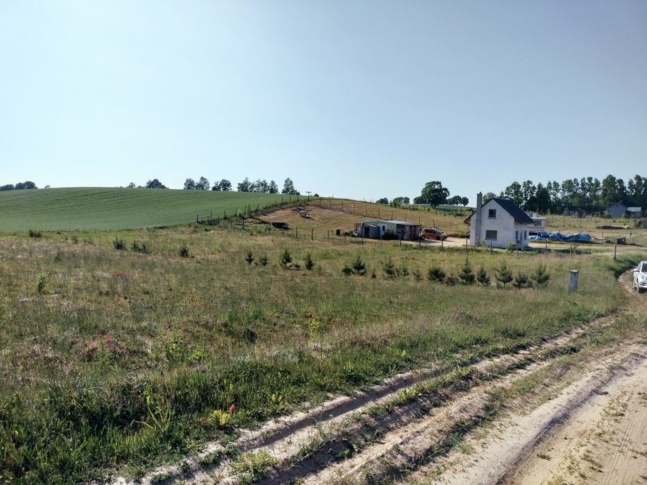 Działka 1500m. w Dzięcielcu