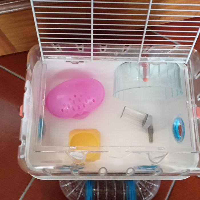 Gaiola para Hamster com Acessórios – Como Nova