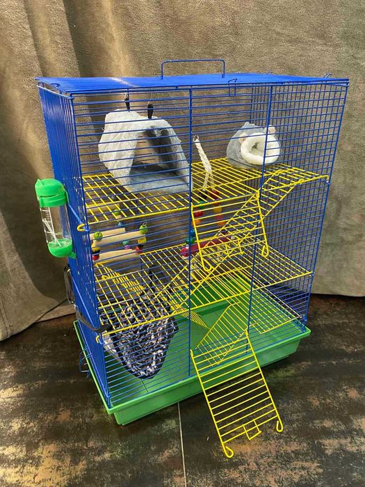 Пацючки вухастики дамбо + клітка під ключ, ручні декоративні пацючки