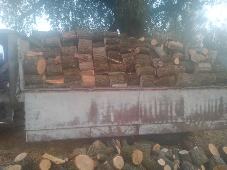 Продам дрова дуб,акація,сосна