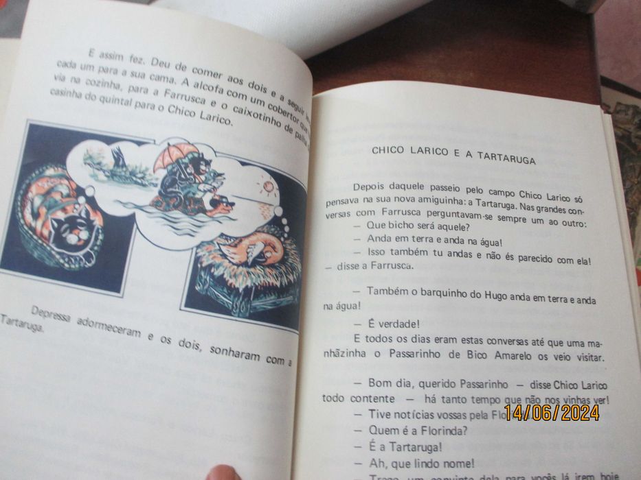 Livro antigo para crianças - Chico Larico