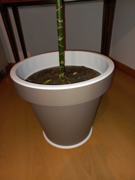 Vaso para Interior/Exterior