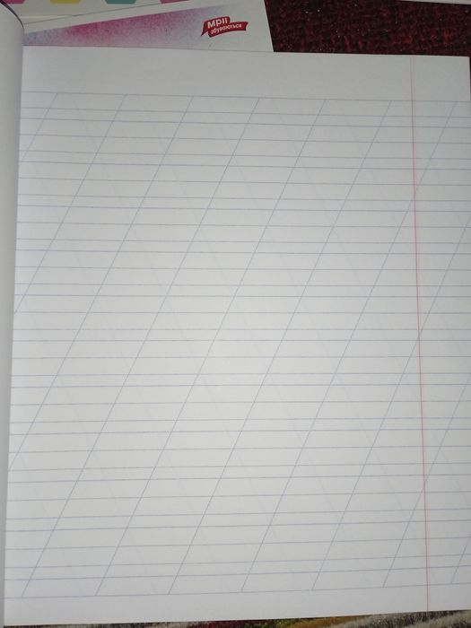 Зошити в косу лінію 12 аркушів