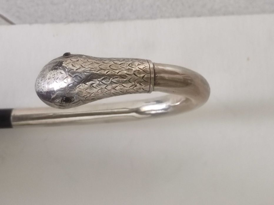 Bengala - Prata, Madeira