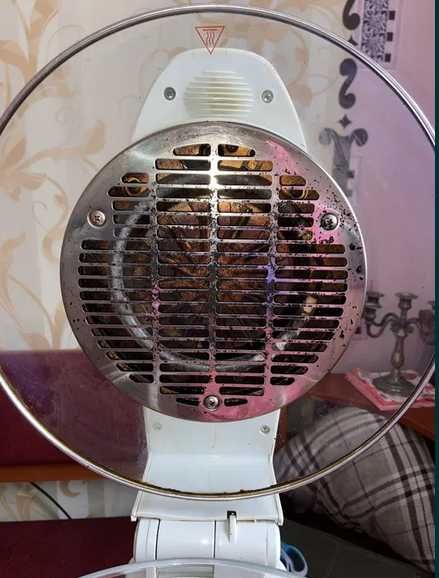 Аерогриль Flavor Wave Turbo