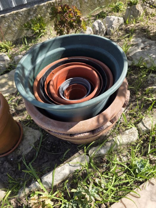 Varios vasos alguns de barro
