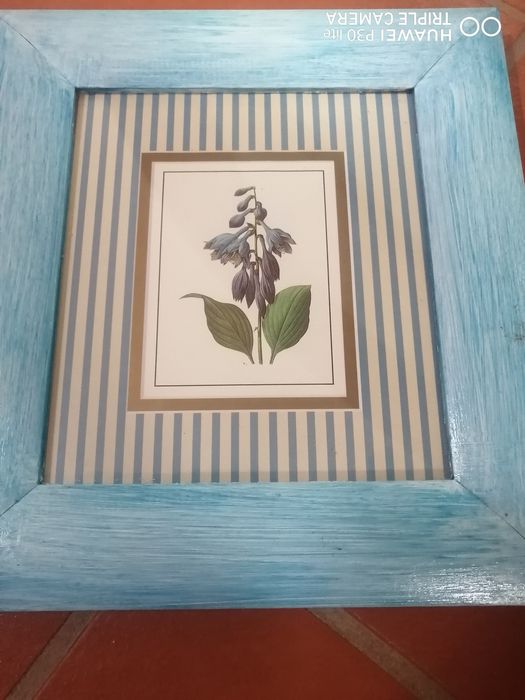4 Quadros flores