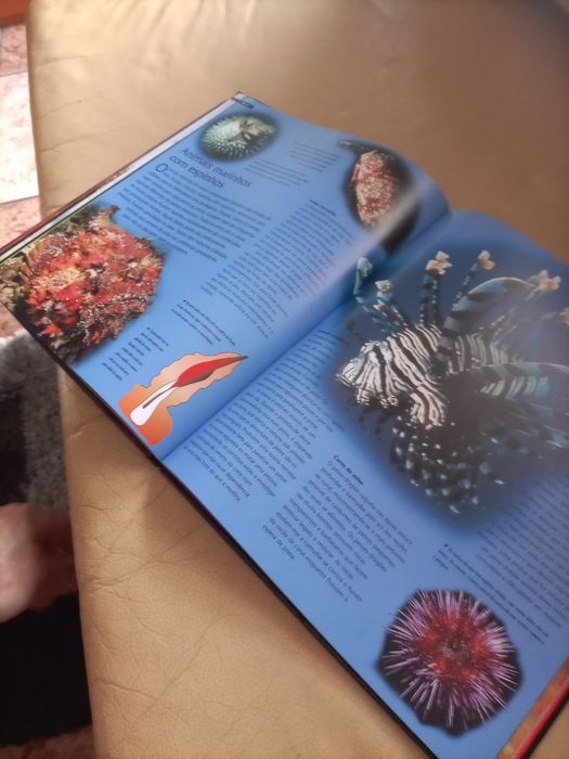 Livro " Criaturas Perigosas"