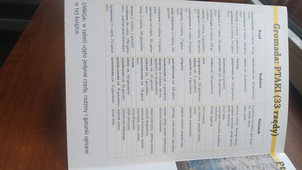 Ptaki- biblioteka wiedzy