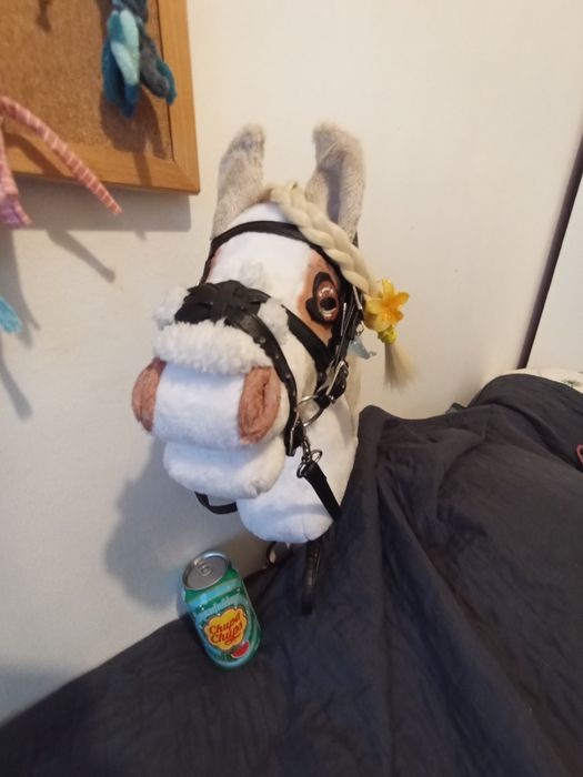 Hobby horse a4 stan bardzo dobry
