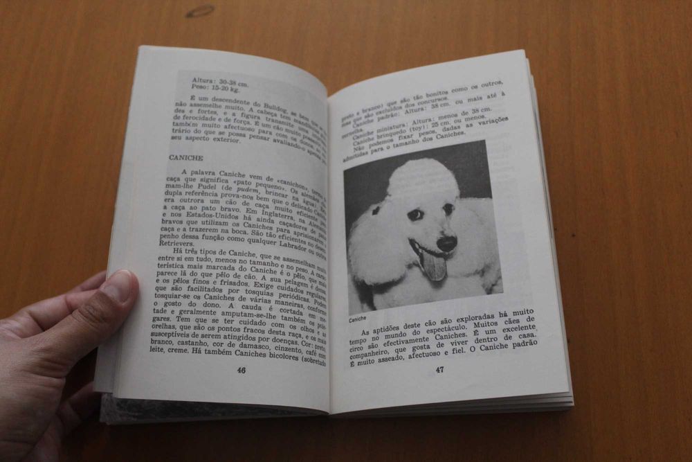 Guia do Cão - Tempos Livres