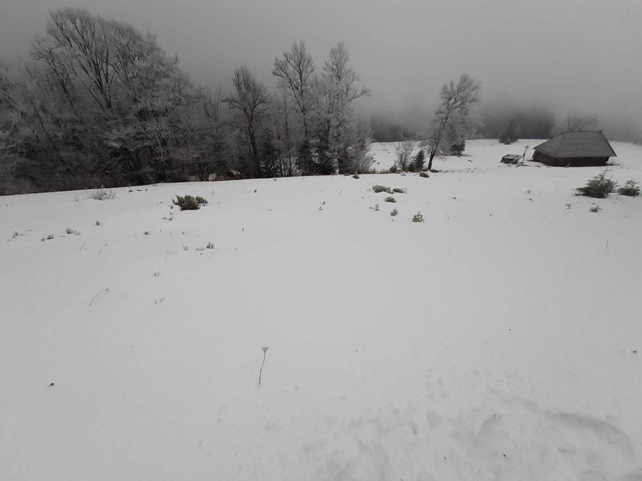 Земля в Закарпатті біля озера "Синевир"