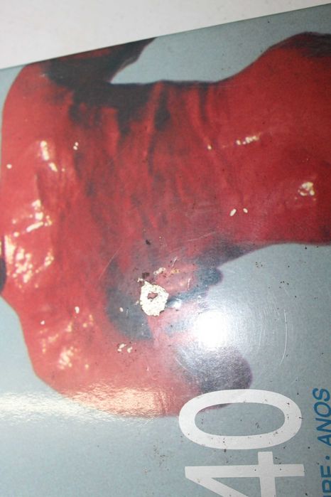 Deutsche Schule Lissabon - Escola Alemã de Lisboa