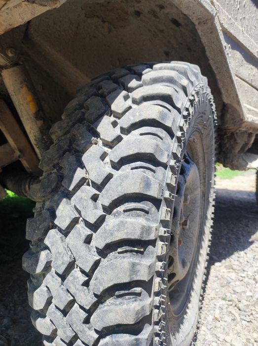 Продам луаз ( лунтік)