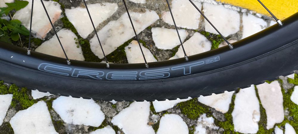 Roda traseira 29" DTSwiss 240+Notubes Crest MK4+DT Revolution