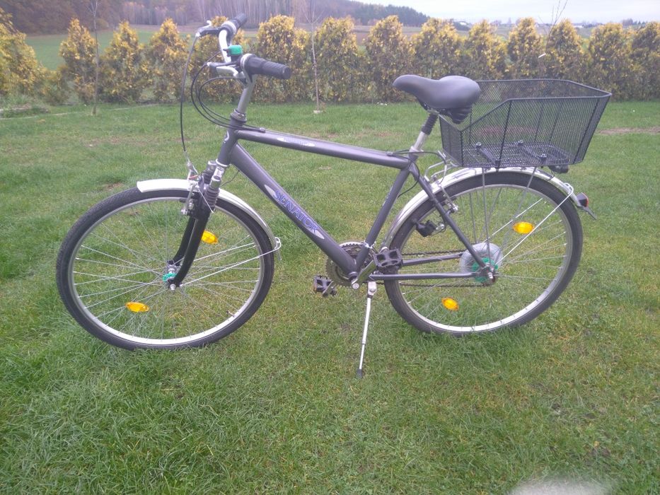 Rower Senator       .