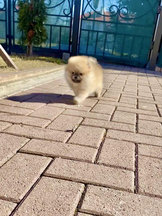 Ексклюзивна дівчинка!