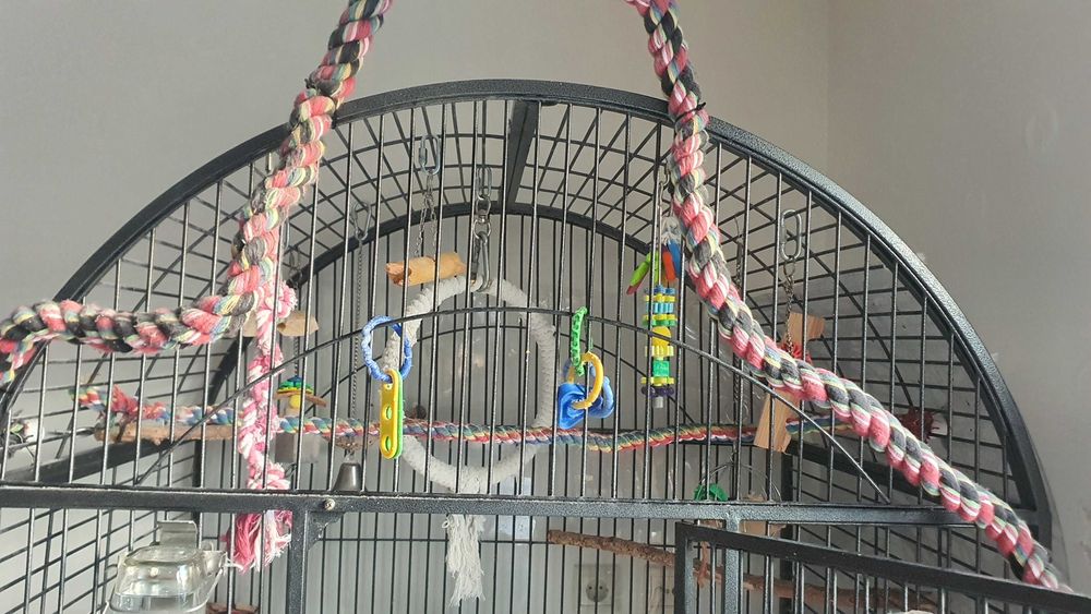 Gaiola de Papagaio ou arara, como nova