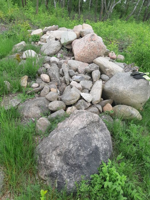 Kamienie polne  oddam