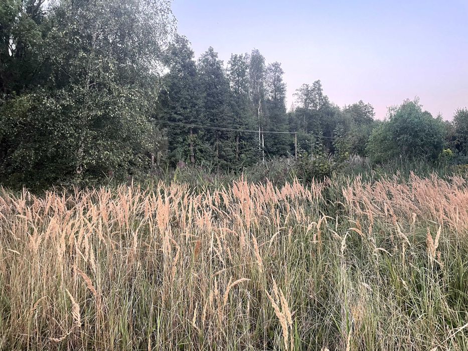 Działka budowlana Bierzów - Widok 2