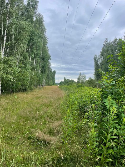 Okazja miejsce odosobnienia działka rolną 1,70ha zostań rolnikiem - Widok 4