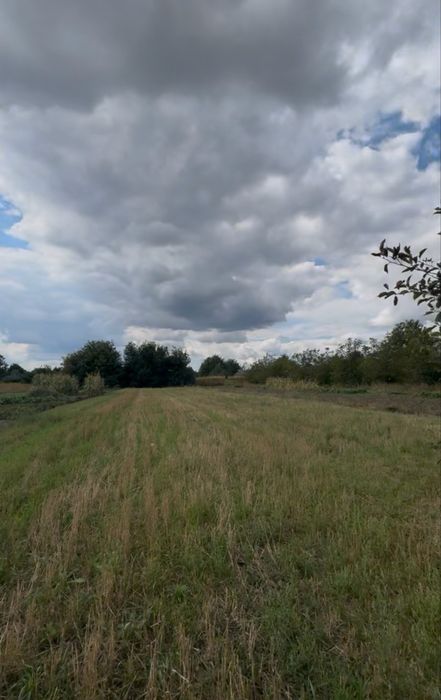 земельна ділянка