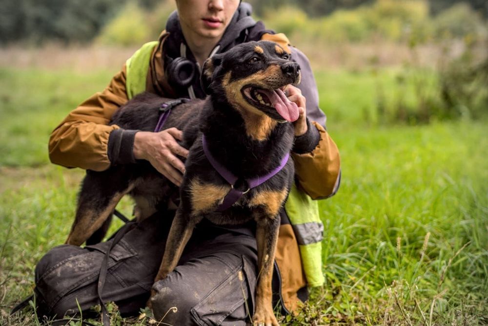 Blagamy o dom dla Snapiego