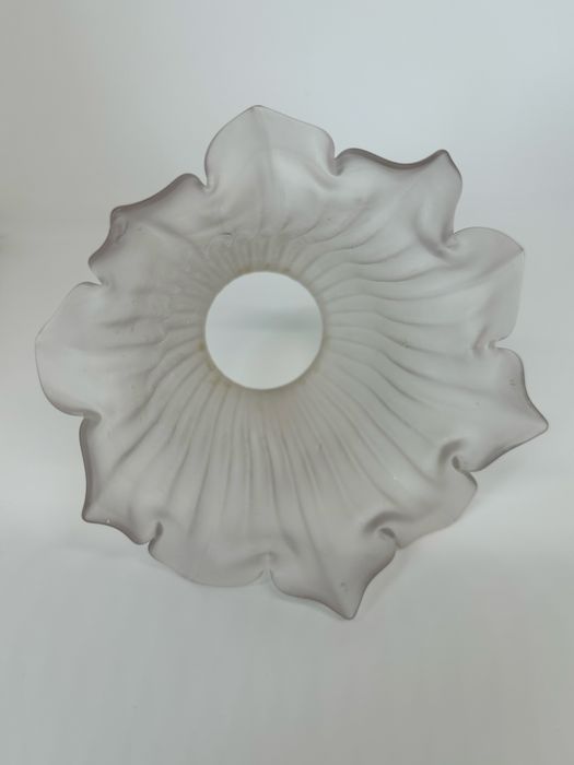 Globo de vidro tulipa