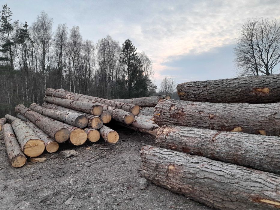 Drewno konstrukcyjne 1200zl /m3