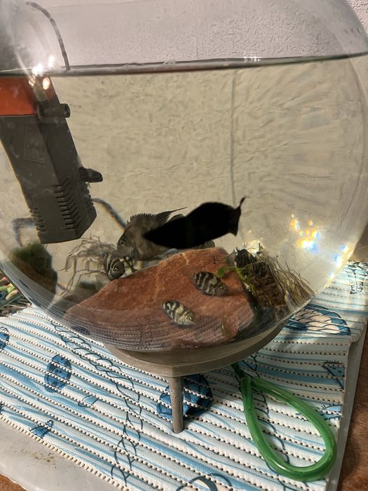 Продам два аквариума