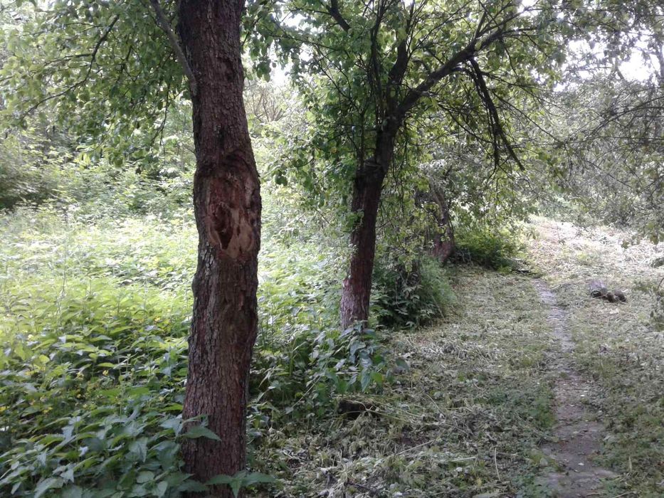 Продаж будинку Макіївка