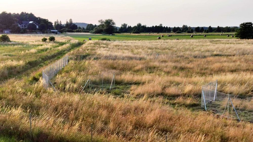 Twoja wymarzona działka nad polskim morzem