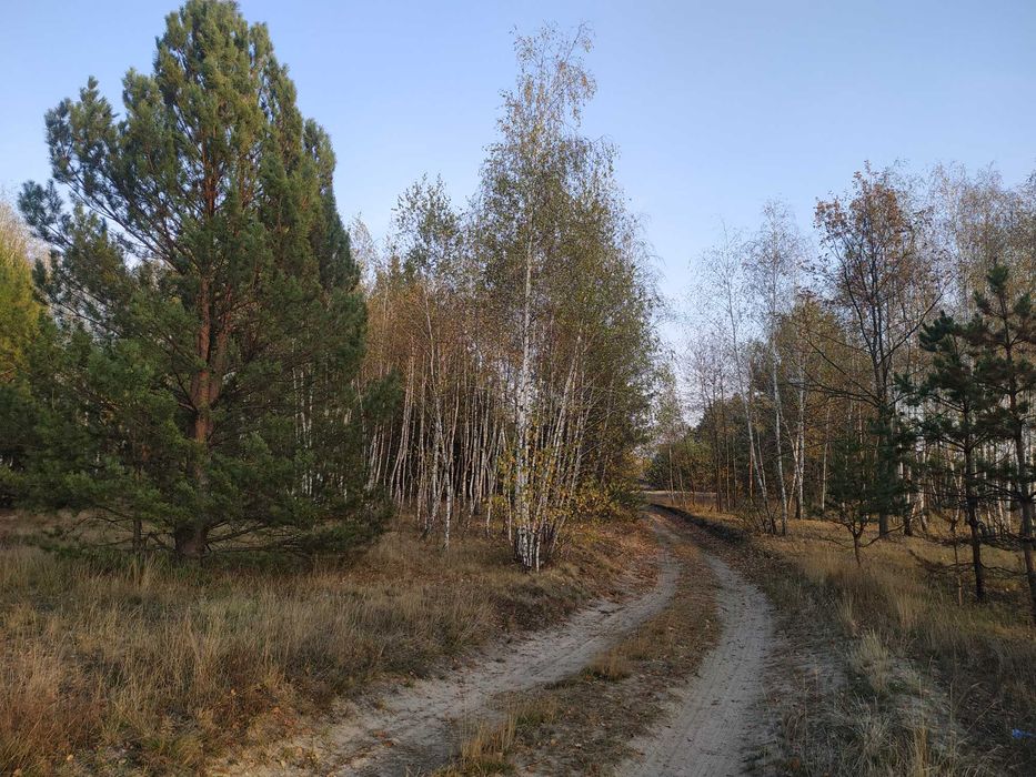 Продам ділянку 20 соток під забудову біля лісу с. Жукин