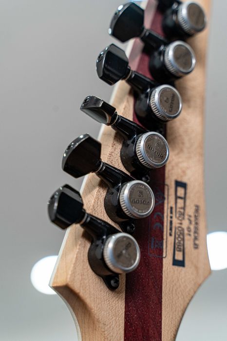 Guitarra Ibanez Iron Label RGIX6DLB