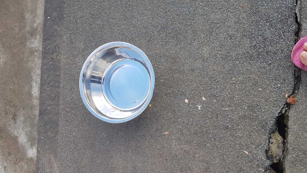 Vendo artigos para animais.