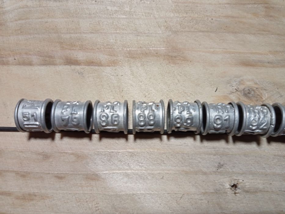 Obrączki dla gołębi pocztowych