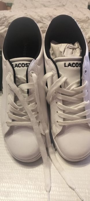 Sapatilhas junior ou mulher n. 39 Lacoste