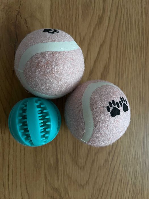 Piłki dla psa 2 sztuki + piłka dentystyczna dla psa na smaczki