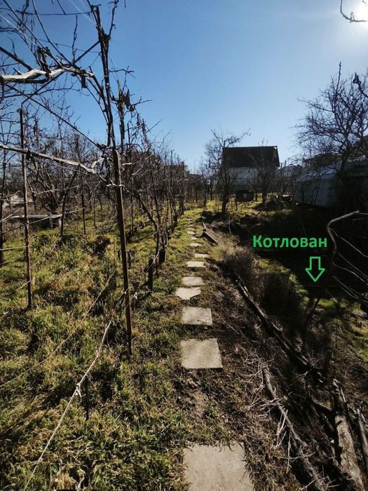 Продам ділянку 6,2 с.під забудову в СОГ Лебідь Сухий Лиман (032-453)